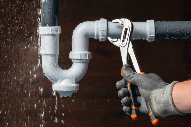 Professional Plumbing technician working in Pearblossom, CA